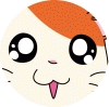 Hamtaro